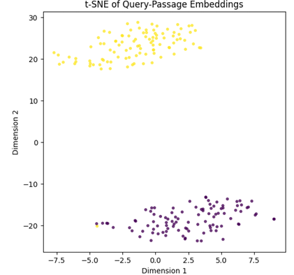 t-SNE Query-Passage Embeddings